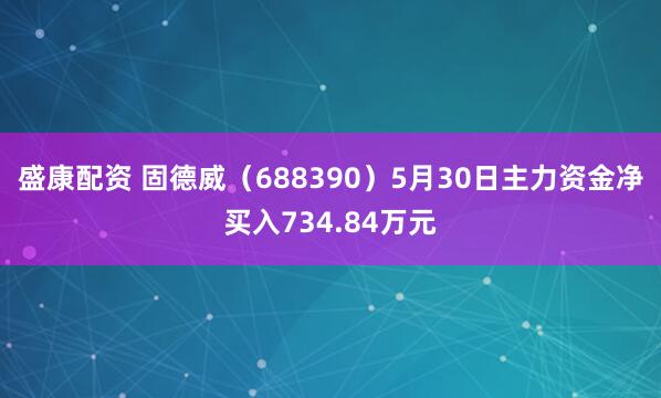 盛康配资 固德威（688390）5月30日主力资金净买入734.84万元