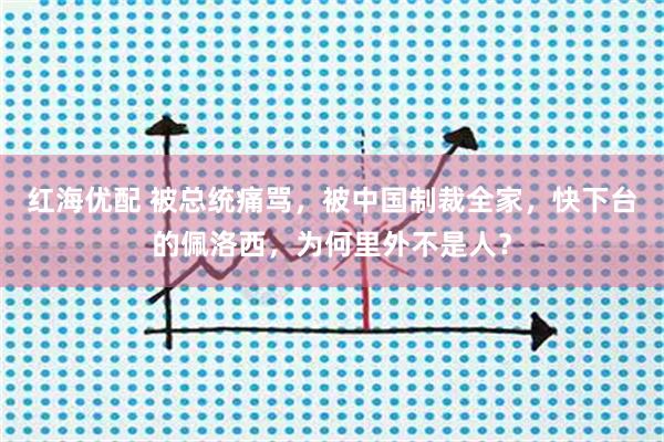 红海优配 被总统痛骂，被中国制裁全家，快下台的佩洛西，为何里外不是人？